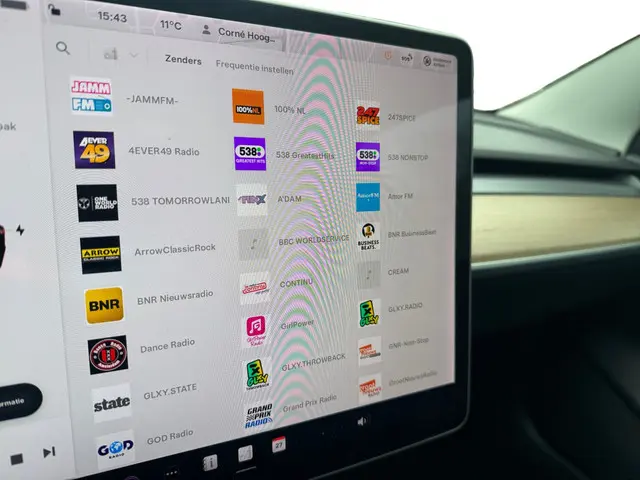 Tesla Model 3 Long Range AWD 75 kWh 2019 Elektrisch 13