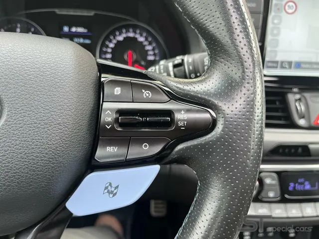 Hyundai i30 2.0 T-GDI N2 Performance|Pano 2018 Benzine 21