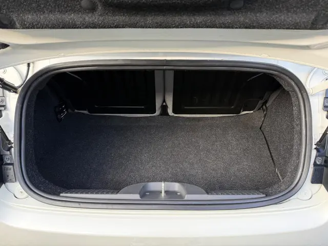 Fiat 500C 0.9 TwinAir Turbo Lounge Softtop 2015 Benzine 16