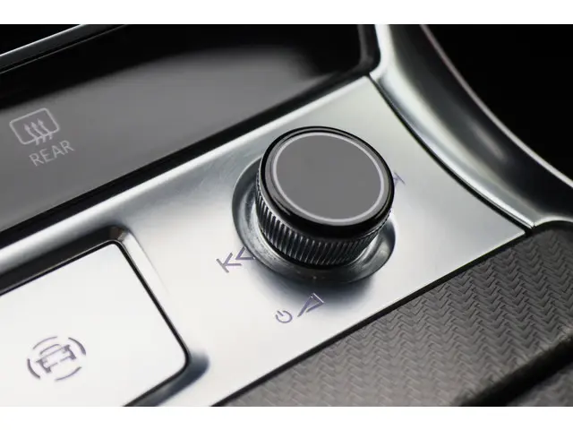 Audi RS6 Avant 4.0 TFSI Quattro 600 PK 2020 Benzine 72