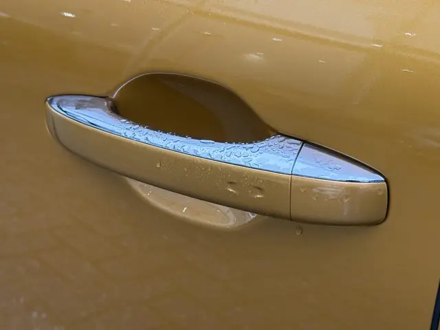 Renault Scénic 1.2 TCe Bose 2017 Benzine 30