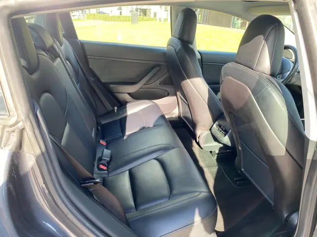 Tesla Model 3 Long Range AWD 75 kWh 2019 Elektrisch 26