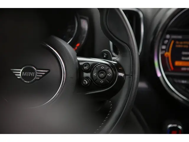 MINI Countryman Mini 2.0 Cooper S | Pano | Memory | 2019 Benzine 9