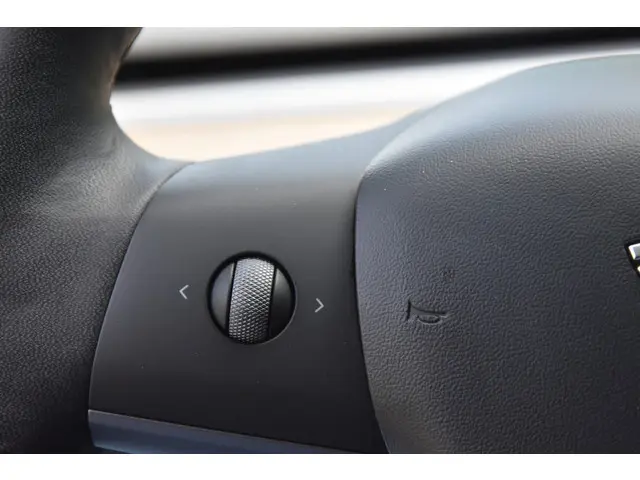 Tesla Model 3 Standard RWD Plus 60 kWh 2020 Elektrisch 9