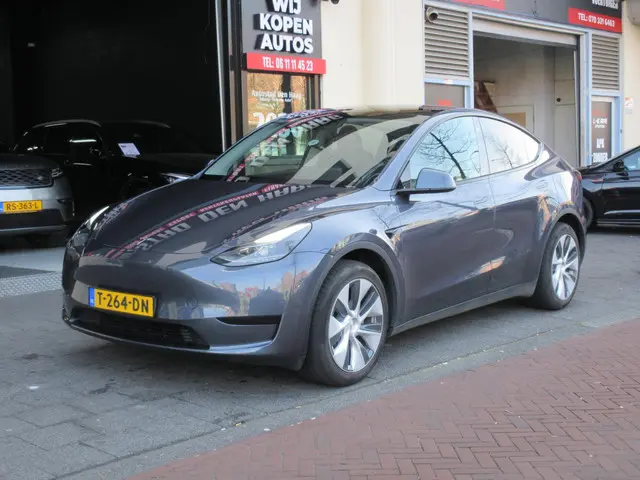 Tesla Model Y RWD 58 kWh 2023 Elektrisch