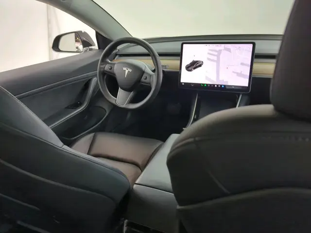Tesla Model 3 Standard RWD Plus 60 kWh 2019 Elektrisch 6