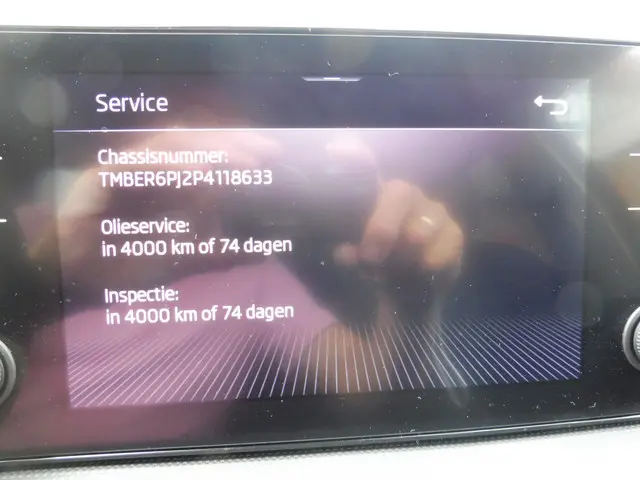 Škoda Fabia 1.0 TSI Business Edition 2023 Benzine 10
