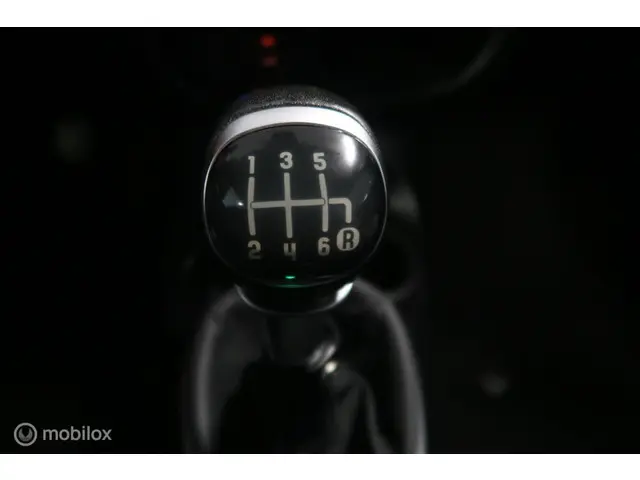 Fiat 500L 0.9 TwinAir Easy Eco 2013 Benzine 25