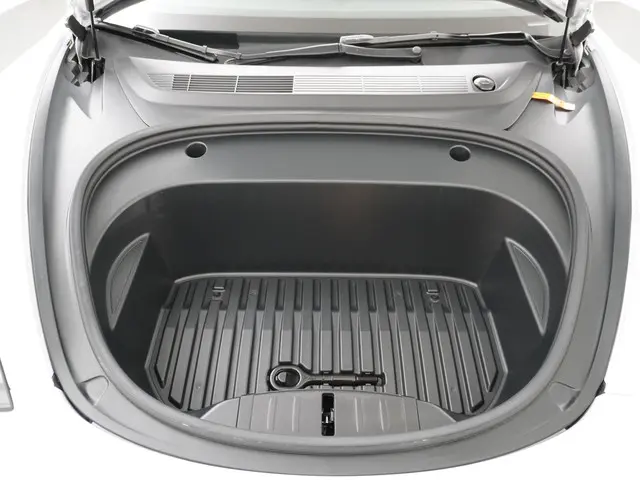 Tesla Model 3 Long Range RWD 75 kWh 2023 Elektrisch 16