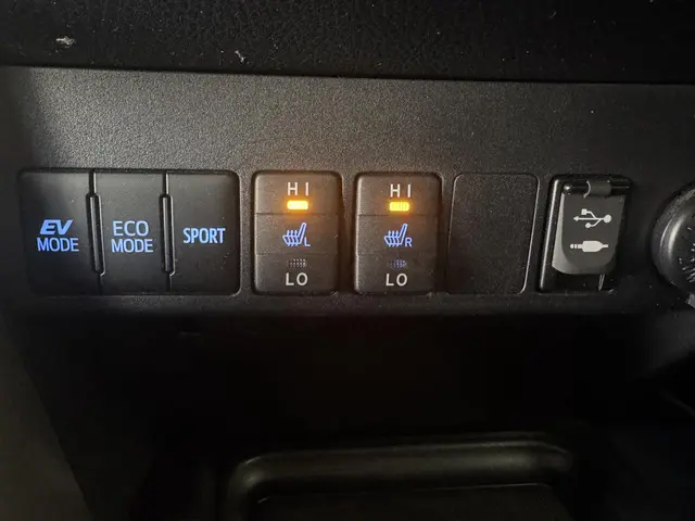 Toyota RAV4 2.5 Hybrid Energy Plus 2019 Hybride Benzine 32