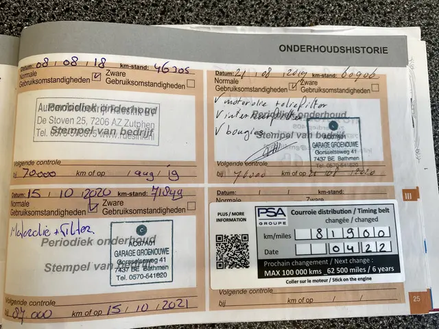 DS DS 3 1.2 PureTech Inès de la Fressange 2015 Benzine 20