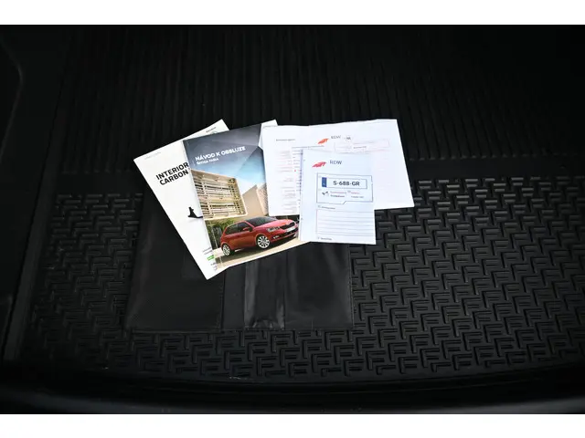 Škoda Fabia Combi 1.0 TSI Business Edition 2019 Benzine 14