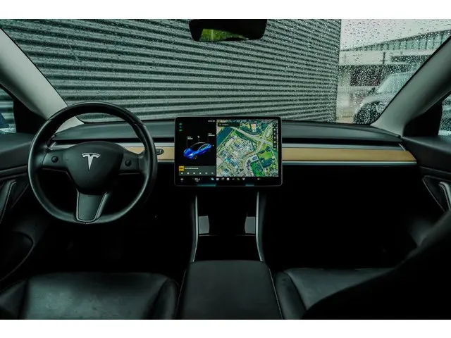 Tesla Model 3 Standard RWD Plus 60 kWh 2019 Elektrisch 7