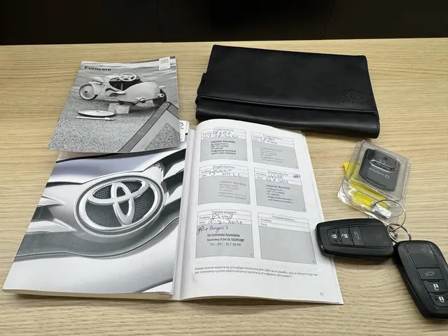 Toyota RAV4 2.5 Hybrid Bi-Tone 2019 Hybride Benzine 19