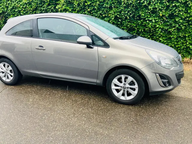 Opel Corsa 1.4-16V Enjoy 2014 Benzine 4