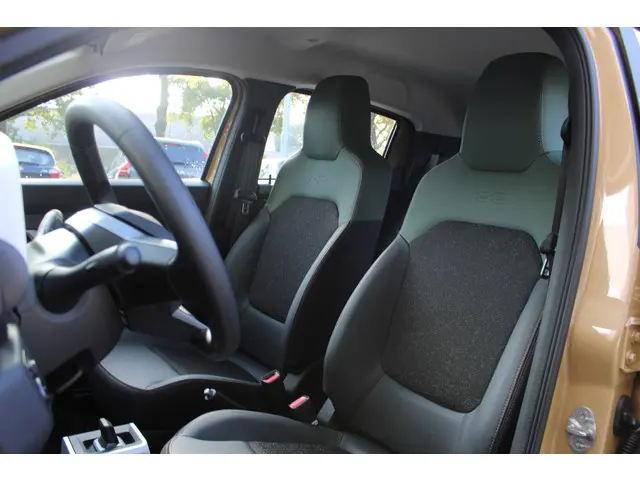 Dacia Spring Extreme 65 26.8 kWh 2024 Elektrisch 5