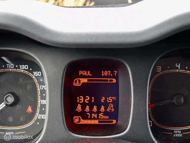Fiat Panda 1.2 City Cross I Airco I 2017 Benzine 11