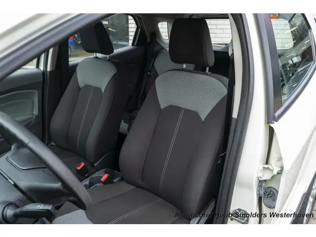 Ford EcoSport 1.5 Ti-VCT Titanium 2017 Benzine 16