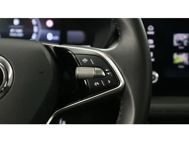 Škoda Fabia 1.0 TSI 95pk Selection 2024 Benzine 23