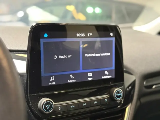 Ford Fiesta 1.0 EcoB. Titanium 2020 Benzine 14