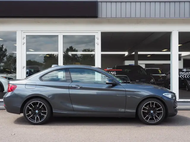 BMW 2 Serie Coupé 220i High Executive 2014 Benzine 3