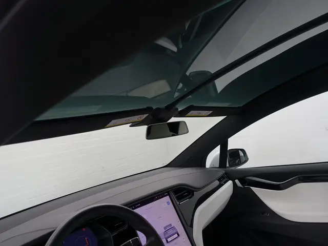 Tesla Model X Long Range Black Pack- 2019 Elektrisch 29