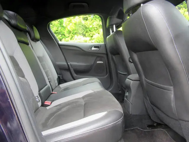 DS DS 4 1.2 PureTech Business*Navi*Xenon*Pdc* 2016 Benzine 12