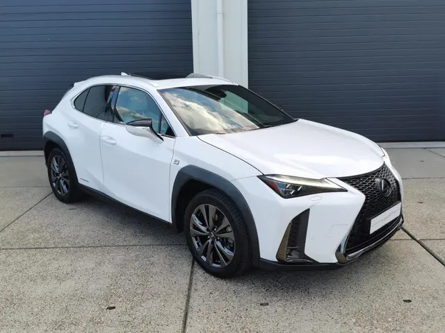 Lexus UX 250h F Sport Line 2019 Hybride Benzine 6