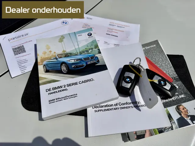 BMW 2 Serie Cabrio 220i Executive 2017 Benzine 6