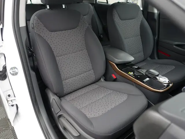 Hyundai IONIQ Premium EV Aut- 2018 Elektrisch 24