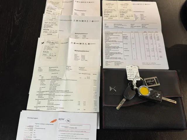 DS DS 3 1.2 PureTech Chic | A/C | NAVI | 2e EIG 2017 Benzine 22