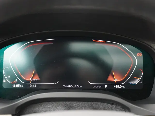 BMW X4 xDrive20i High Executive Edition 2021 Benzine 12