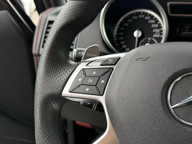Mercedes-Benz G-Klasse 350 Bluetec 2015 Diesel 18