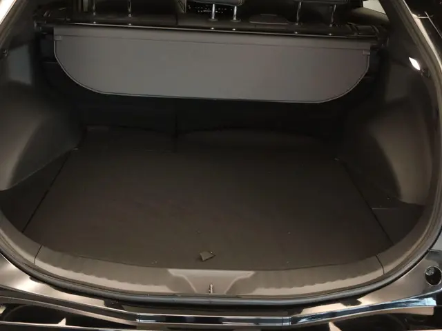 Toyota bZ4X 71 kWh 2025 Elektrisch 15