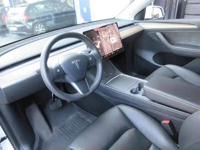 Tesla Model Y Long Range AWD 75 kWh 2022 Elektrisch 9