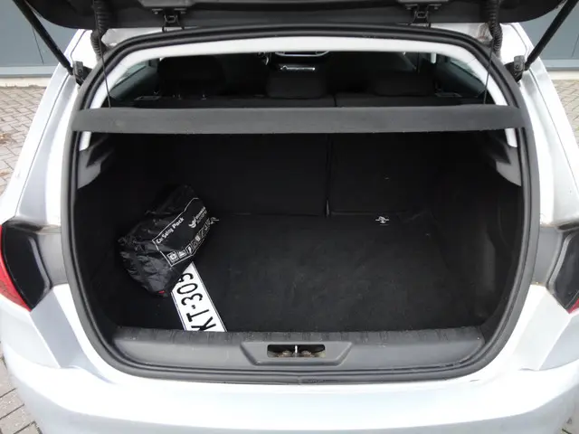 Peugeot 308 1.2 PureTech Blue Lease 2016 Benzine 15