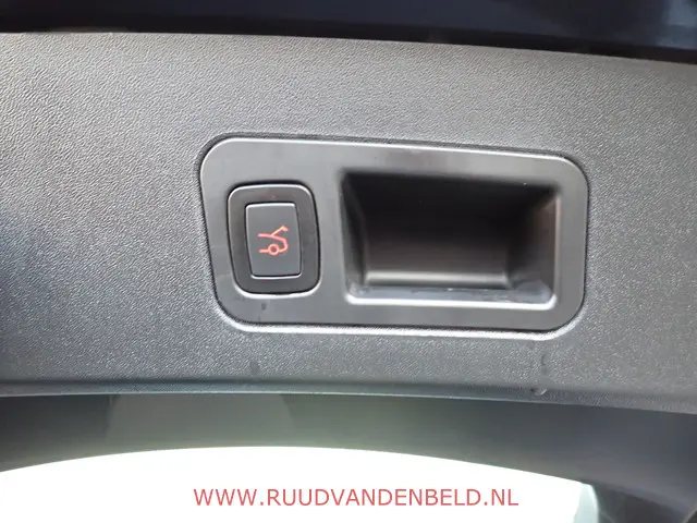 Tesla Model S LONG RANGE PLUS !! RAVEN 2020 Elektrisch 35