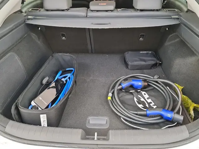Hyundai IONIQ Premium EV 38 kWh SOH 100% 2020 Elektrisch 7