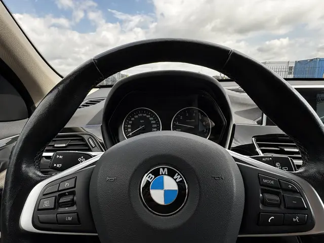 BMW X1 xDrive20i High Executive 2018 Benzine 11
