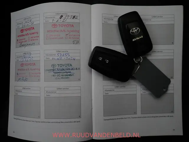 Toyota RAV4 2.5 Hybrid 2019 Hybride Benzine 19