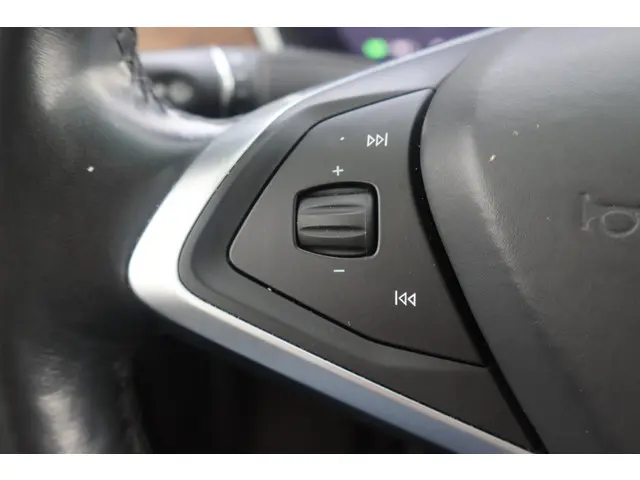 Tesla Model X 100D 2017 Elektrisch 24