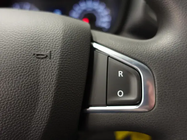 Renault Master T33 2.3 dCi 135 L2H2 2024 Diesel 14