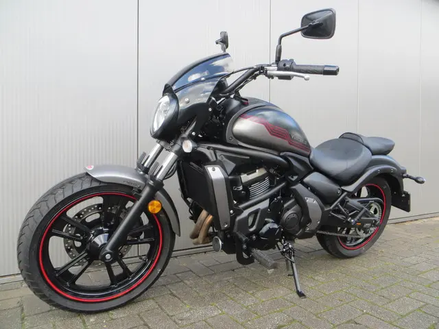 Kawasaki Vulcan S Performance 2024 Benzine 10