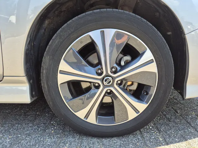 Nissan Leaf e+ N-Connecta 62 kWh 2021 Elektrisch 26