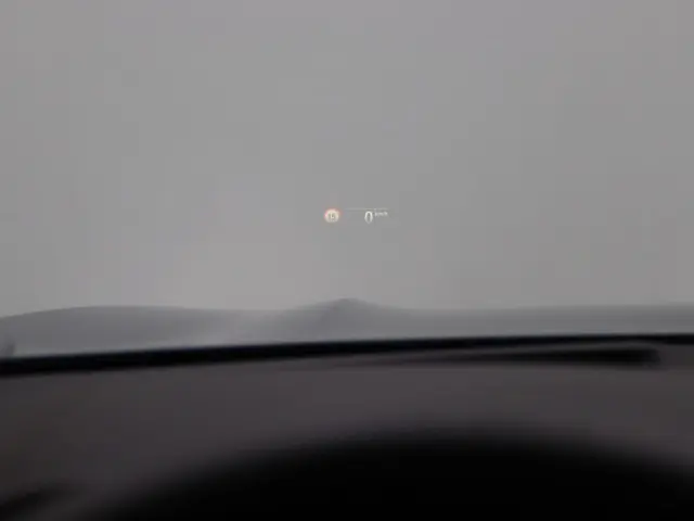 BMW X3 xDrive20i 2020 Benzine 19