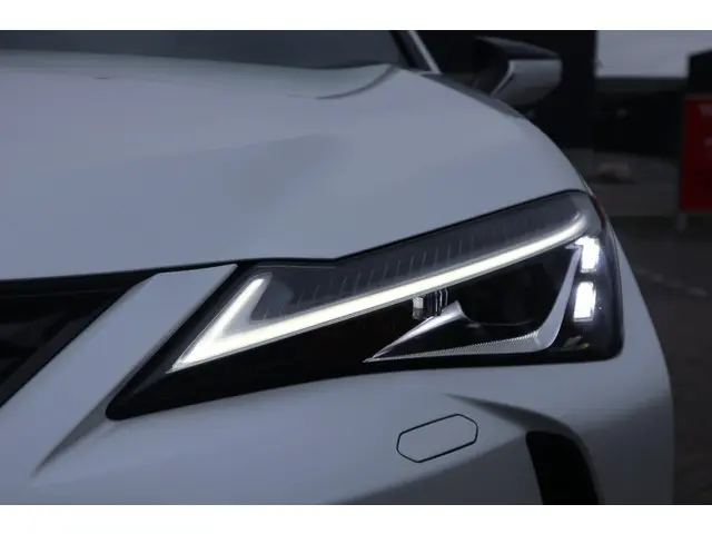 Lexus UX 300e Business 54 kWh 2021 Elektrisch 17