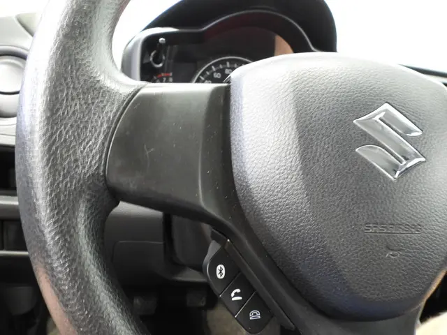 Suzuki Celerio 1.0 Comfort 2019 Benzine 10
