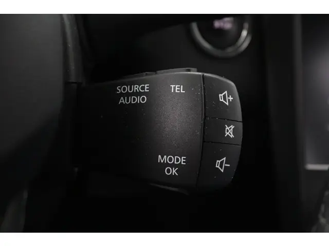 Renault Kadjar 1.3 TCe 140 EDC Intens 2020 Benzine 25