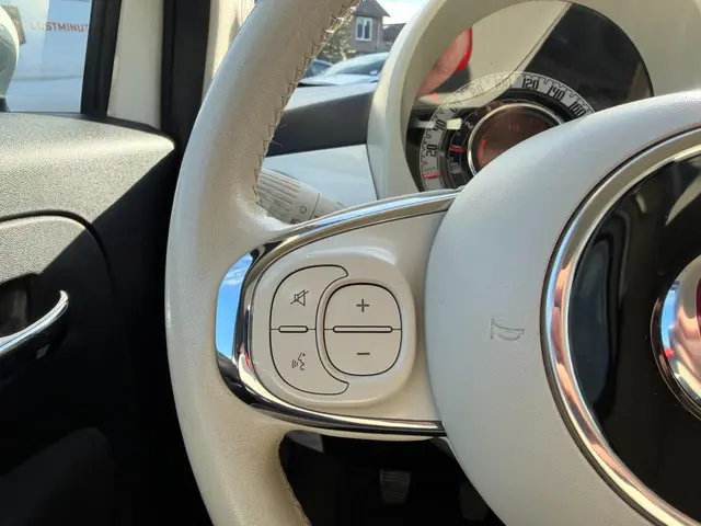 Fiat 500 1.2 Lounge 2019 Benzine 14