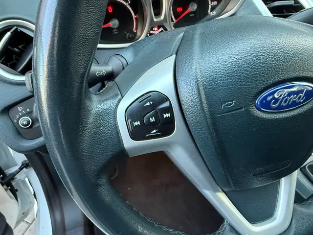 Ford Fiesta 1.25 Titanium 2013 Benzine 31